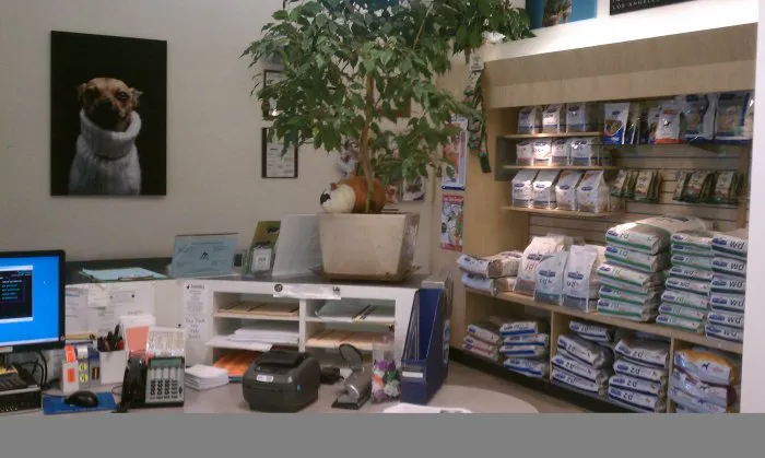 VCA Miller-Robertson Animal Hospital Picture 7