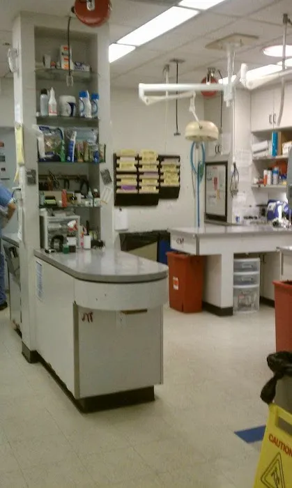 VCA Miller-Robertson Animal Hospital Picture 6