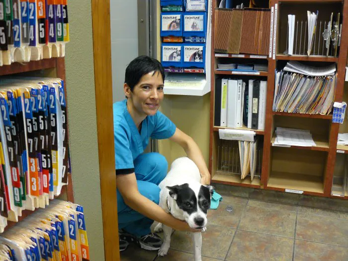 VCA TLC Animal Hospital Picture 7