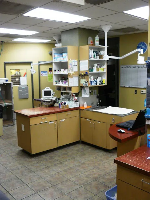 VCA Los Angeles Veterinary Specialists Picture 3