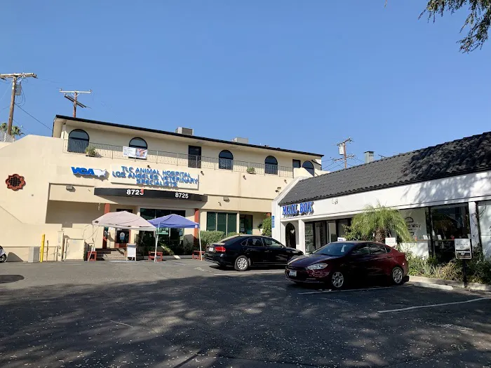 VCA Los Angeles Veterinary Specialists Picture 4