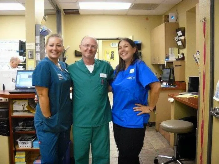 VCA Los Angeles Veterinary Specialists Picture 5