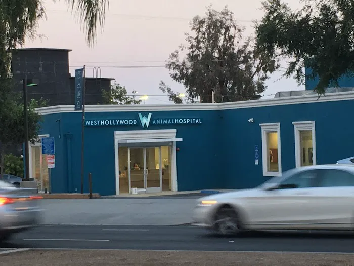 West Hollywood Animal Hospital Picture 3
