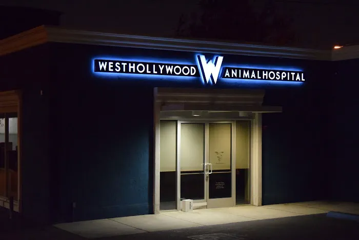 West Hollywood Animal Hospital Picture 5
