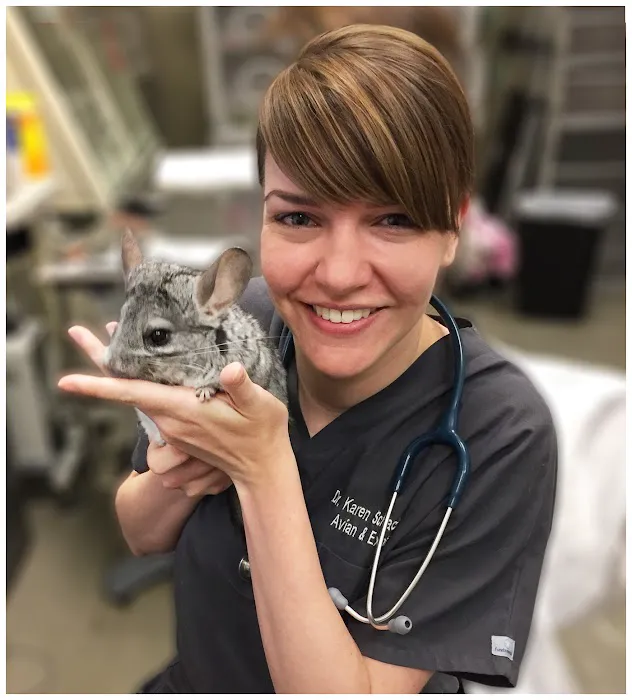 ACCESS Specialty Animal Hospitals - Los Angeles Picture 7