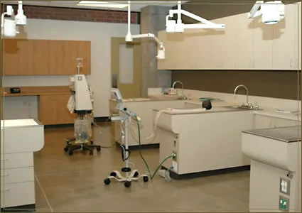 City of Angels Veterinary Specialty Center Picture 5
