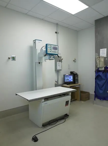 City of Angels Veterinary Specialty Center Picture 6
