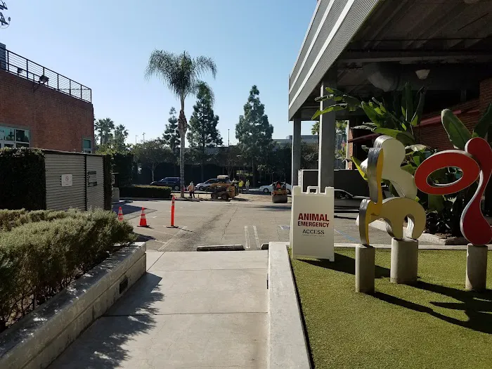 City of Angels Veterinary Specialty Center Picture 10