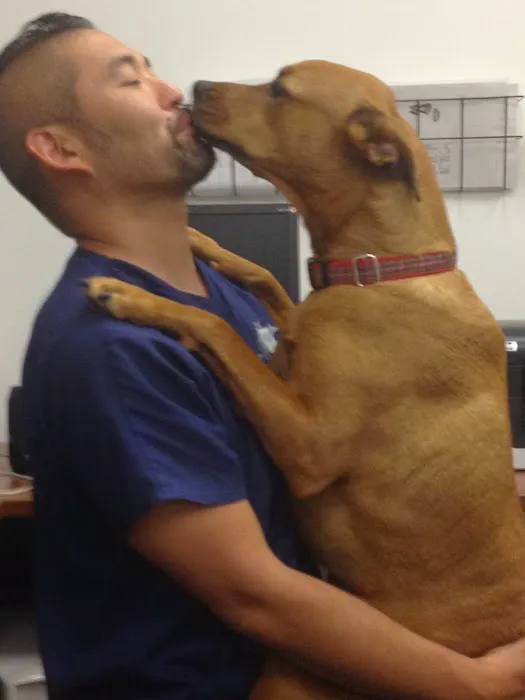 Southern California Veterinary Imaging Picture 1