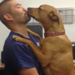 Southern California Veterinary Imaging