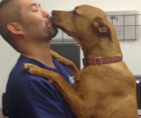 Southern California Veterinary Imaging