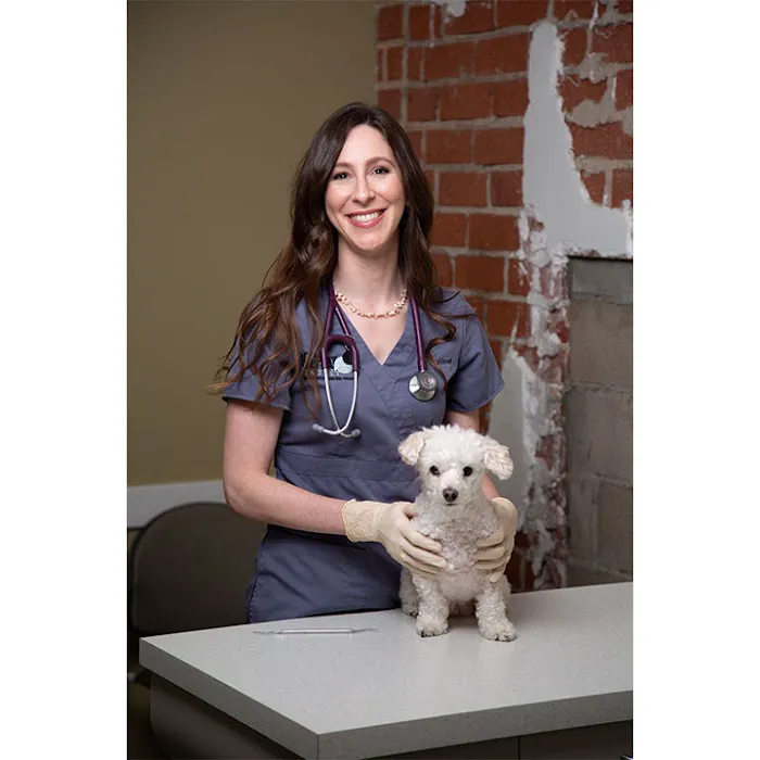 Dog and Cat Dentist, Inc. Picture 7