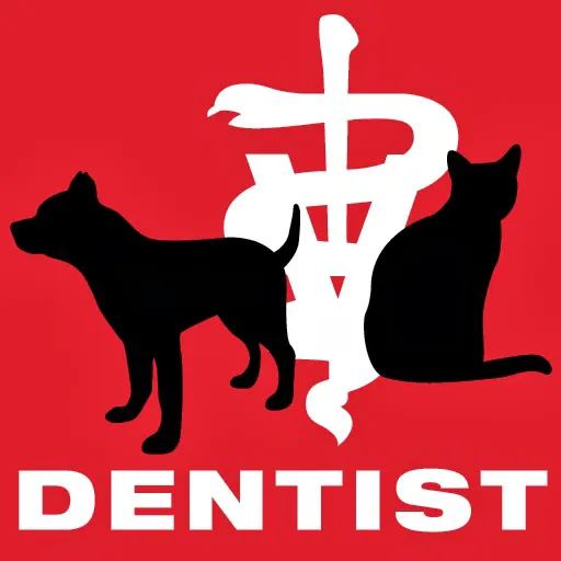 Dog and Cat Dentist, Inc. Picture 9