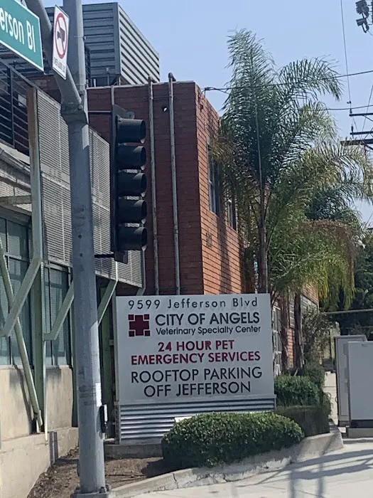 Eye Care for Animals - Culver City Picture 1