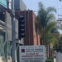 Eye Care for Animals - Culver City ico
