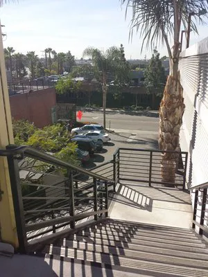 Eye Care for Animals - Culver City Picture 8