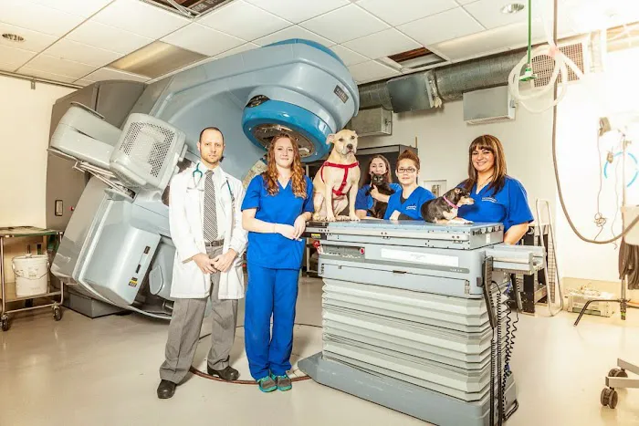 Veterinary Cancer Group LA Picture 5