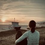 Gold Coast Mobile Veterinary Care
