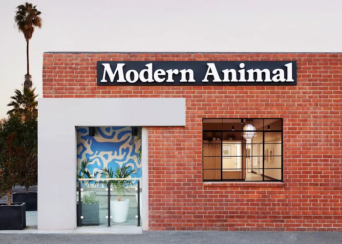 Modern Animal Picture 8