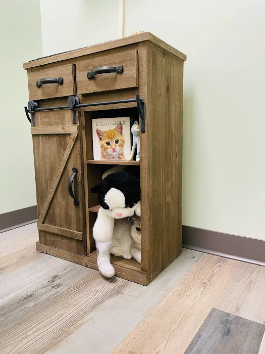 Lighthouse Veterinary Care for Cats Picture 5