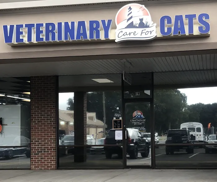 Lighthouse Veterinary Care for Cats Picture 3