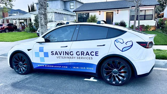 Saving Grace Mobile Veterinary Services Picture 1