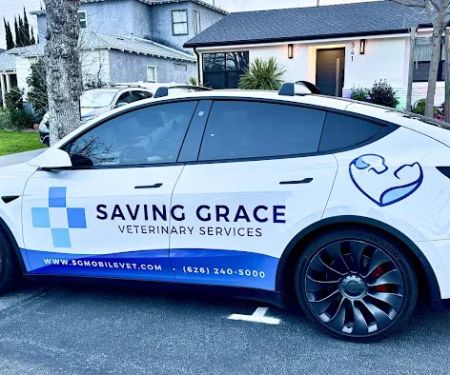 Saving Grace Mobile Veterinary Services