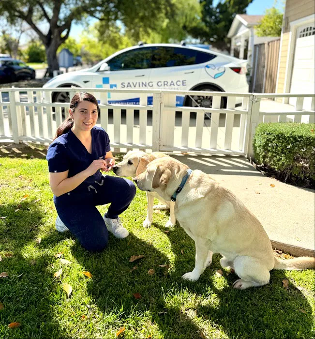 Saving Grace Mobile Veterinary Services Picture 3