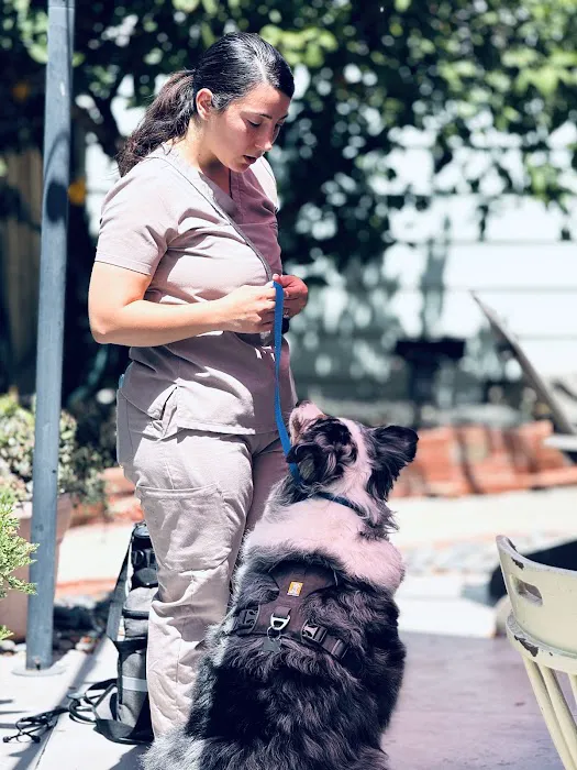 Saving Grace Mobile Veterinary Services Picture 6