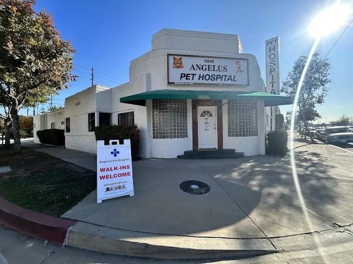 Angelus Pet Hospital Picture 4