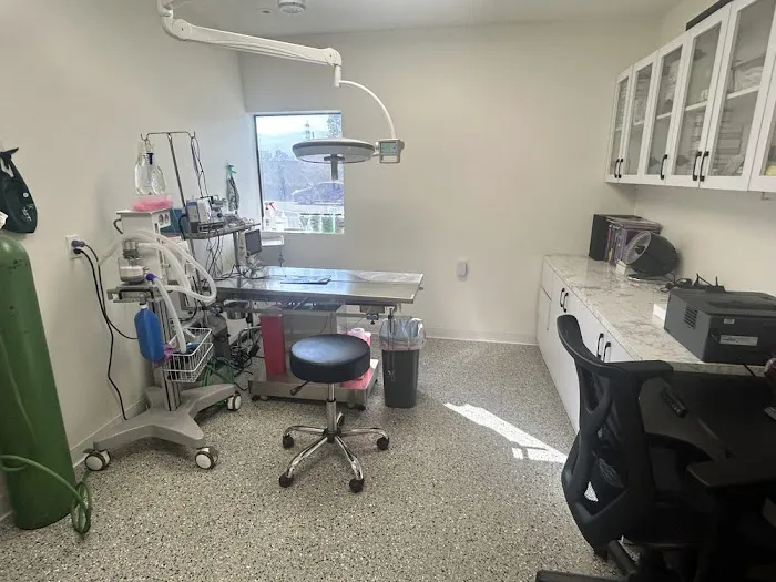 Angelus Pet Hospital Picture 3