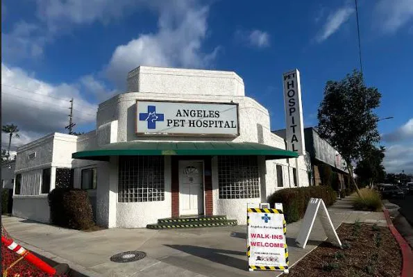 Angelus Pet Hospital Picture 1