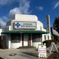 Angelus Pet Hospital ico