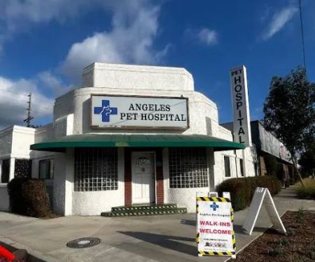 Angelus Pet Hospital