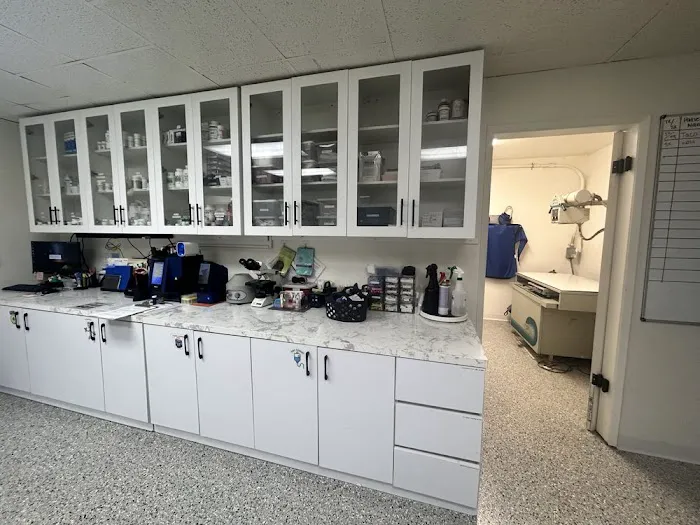 Angelus Pet Hospital Picture 5