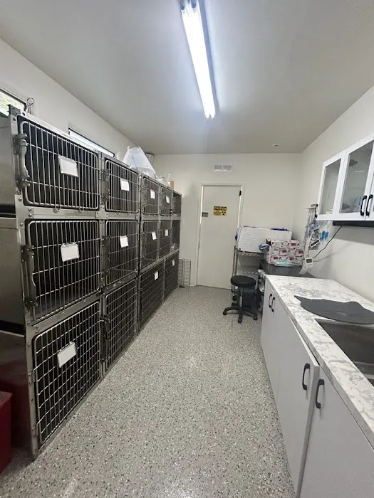 Angelus Pet Hospital Picture 9