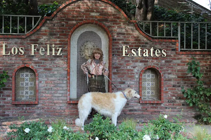Angelus Pet Hospital Picture 10