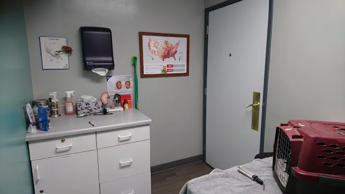 Animal Medical Hospital Picture 8