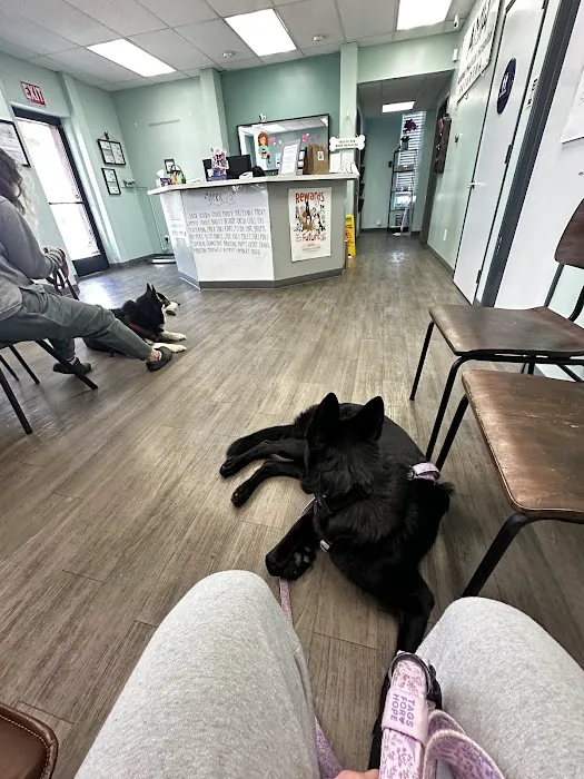 Animal Medical Hospital Picture 9