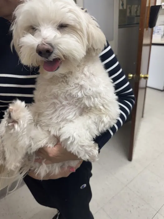 Atlantic Animal Hospital Picture 1