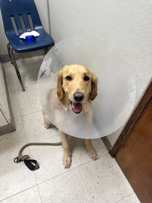 Atlantic Animal Hospital Picture 4