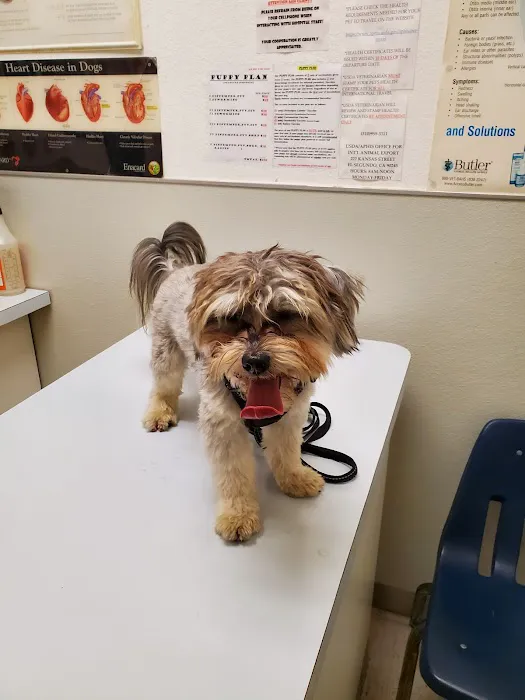 Atlantic Animal Hospital Picture 8