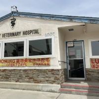 Valley Veterinary Hospital ico