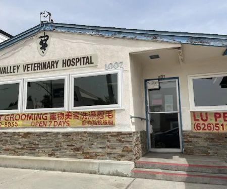 Valley Veterinary Hospital