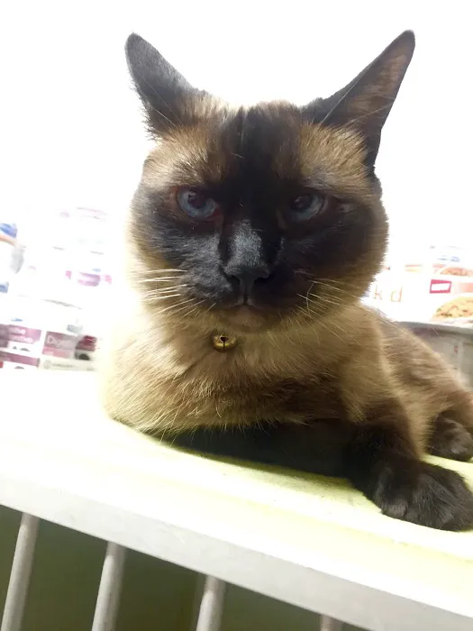 Valley Veterinary Hospital Picture 3
