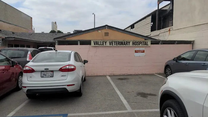 Valley Veterinary Hospital Picture 5