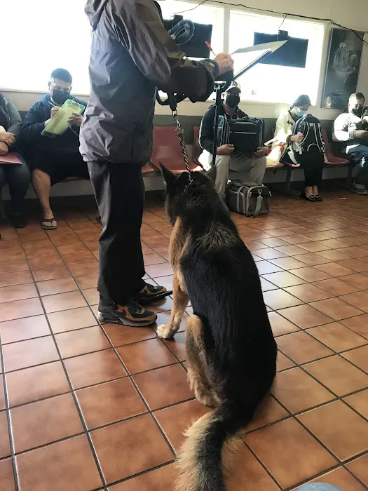 Valley Veterinary Hospital Picture 7
