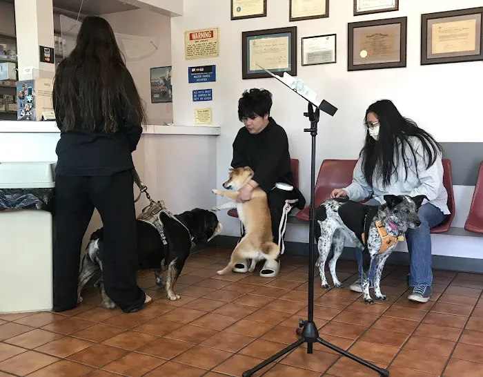 Valley Veterinary Hospital Picture 9