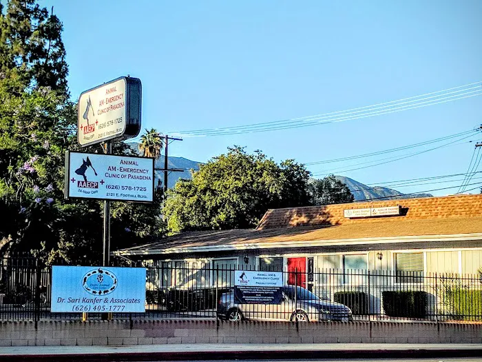 Animal-AM Emergency Clinic of Pasadena Picture 6