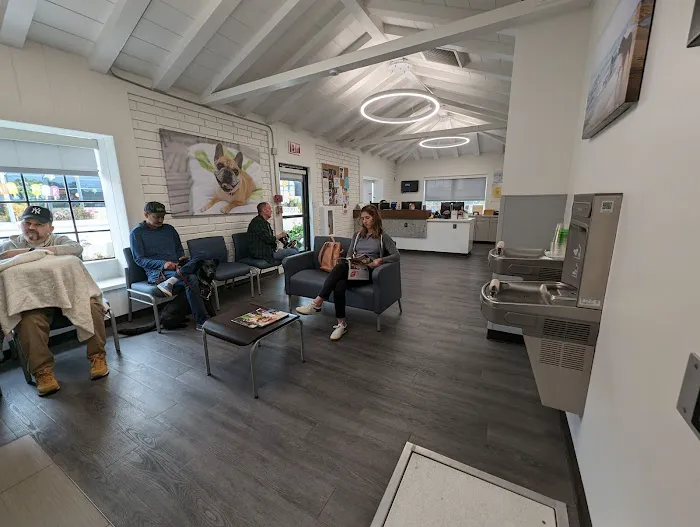 VCA Foothill Veterinary Hospital Picture 2